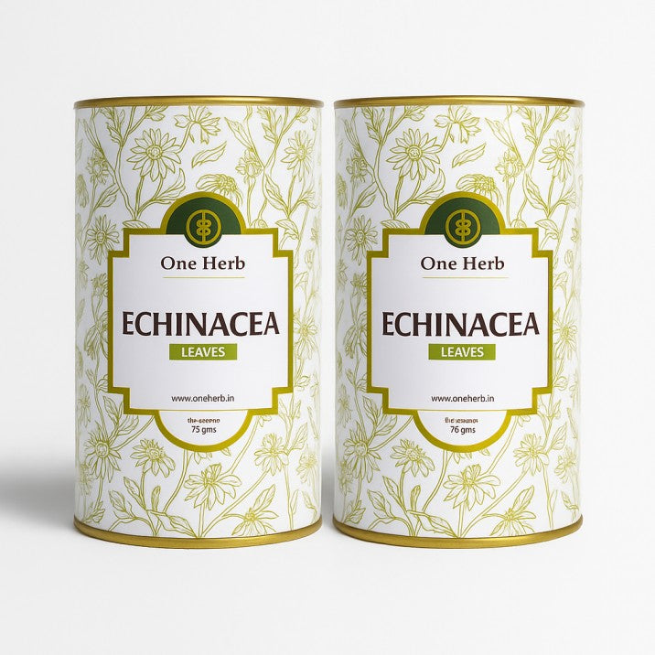 
                  
                    ECHINACEA LEAVES
                  
                