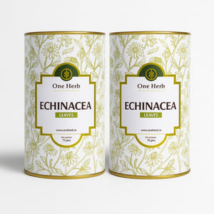
                  
                    ECHINACEA LEAVES
                  
                