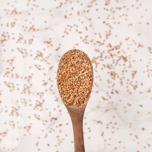 
                  
                    Organic Alfalfa Seeds
                  
                