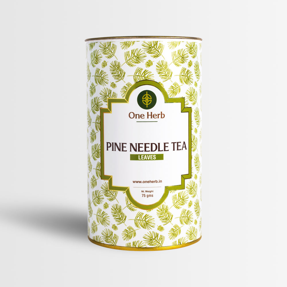 PINE NEEDLE TEA