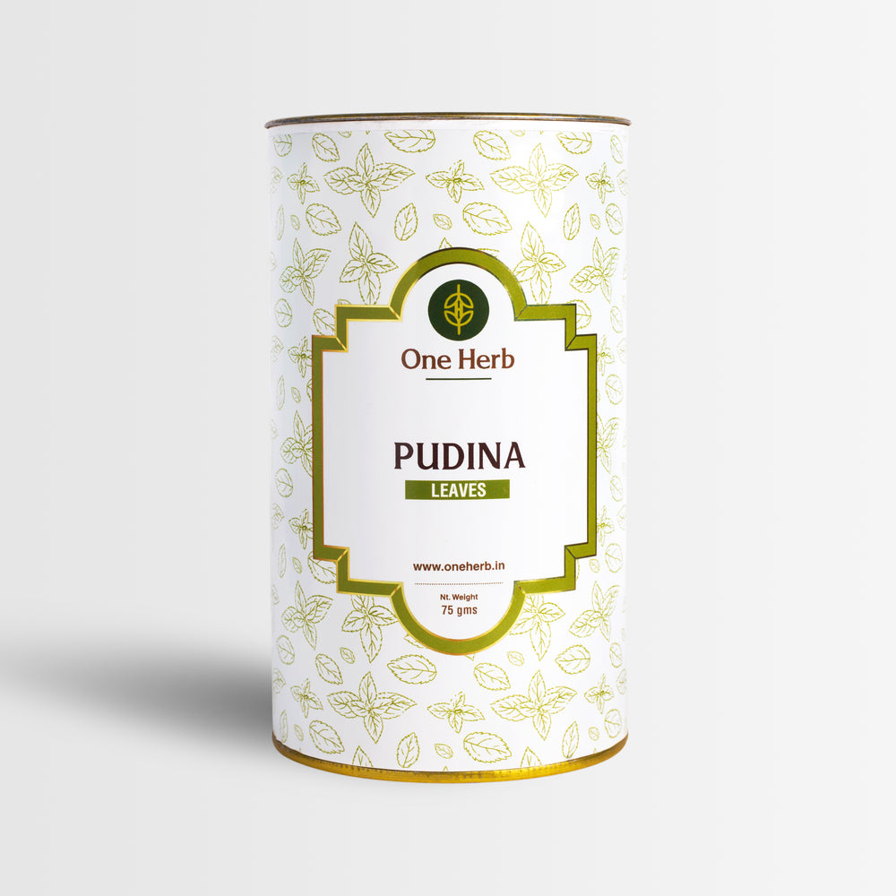 PUDINA LEAVES