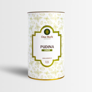 
                  
                    PUDINA LEAVES
                  
                