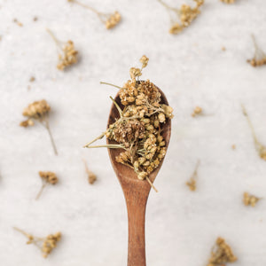 
                  
                    YARROW FLOWERS
                  
                